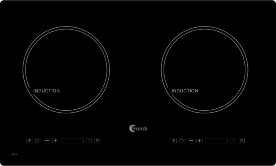 bep-dien-tu-fandi-fd-226i