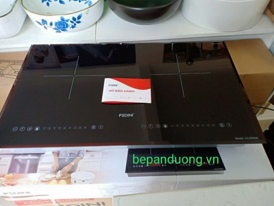 Bep tu Pedini KCSR 666.2