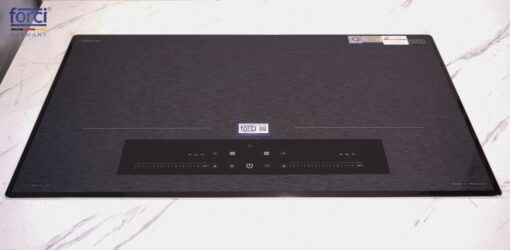 FC-F99 PLUS MALAYSIA